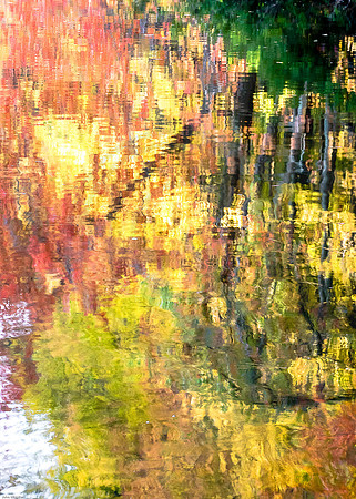 _DSC3840-1