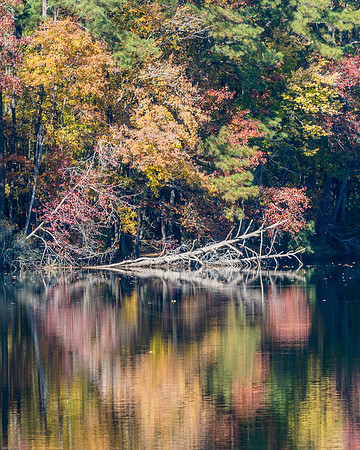 Sandy Bottoms Fall Reflection 2 2016