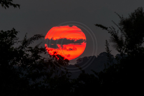 Summer Red Ball Sunset 2014