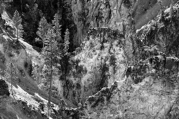 Grand Canyon of Yellowstone 2