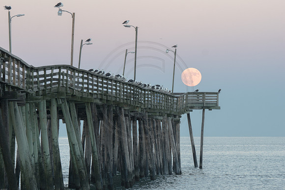 15th St. Pier Super Moon 4 2016