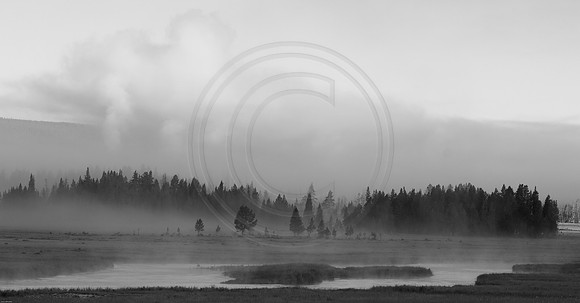 Gibbon Meadow Morning Mist B&W 2017