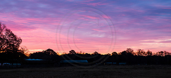 Acquibob Stable Sunrise