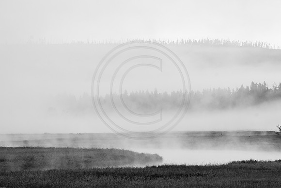 Steamy Gibbon Meadow at Dawn 2017