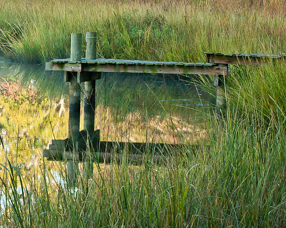 Marsh Pier 2011