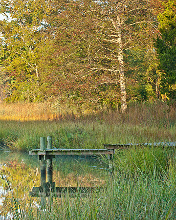 Fall Marsh Pier Scene
