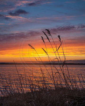 Harbour View Beach Sunset 2014