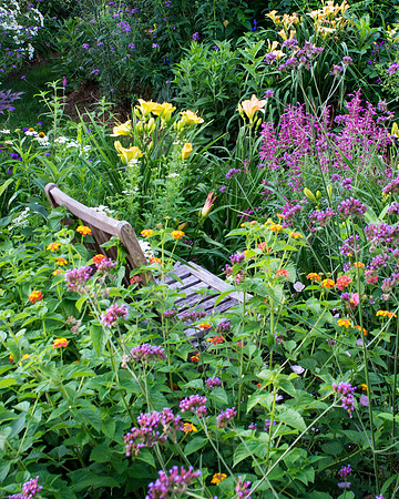 Summer Chair in Garden