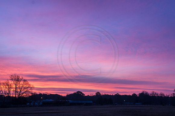Aquibob Stables Sunrise
