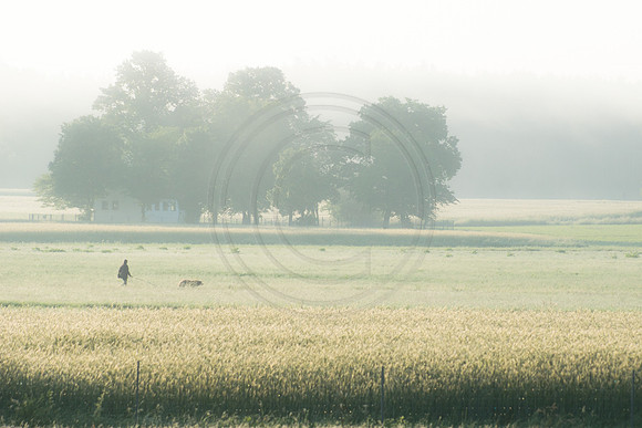Dog Walk in Germany 2016