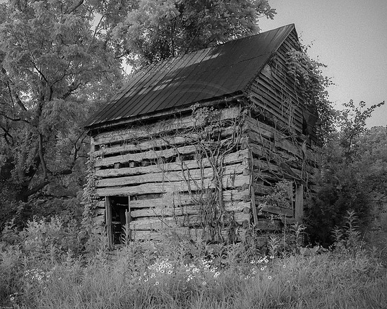 Barn B&W 2015