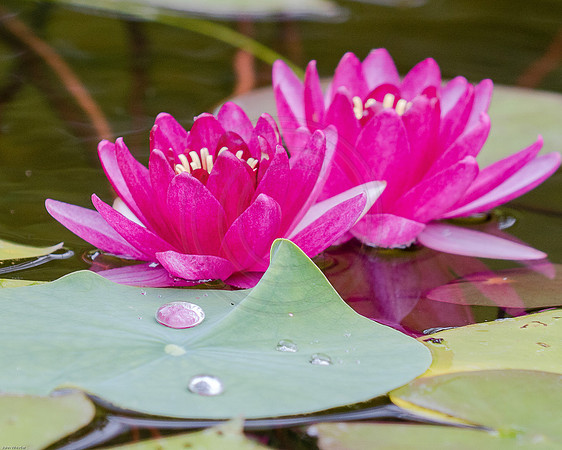 20150711-_DSC3641