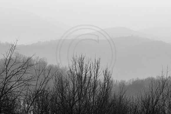 20160326-_DSC5236