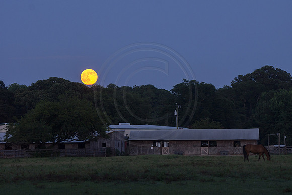 Moonrise at the Stables