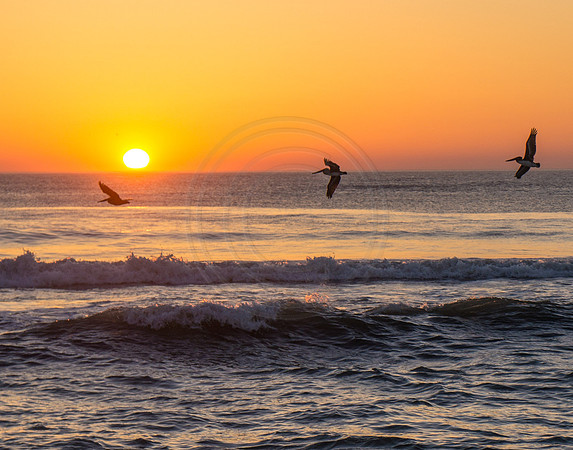 Nags Head Sunrise 2013