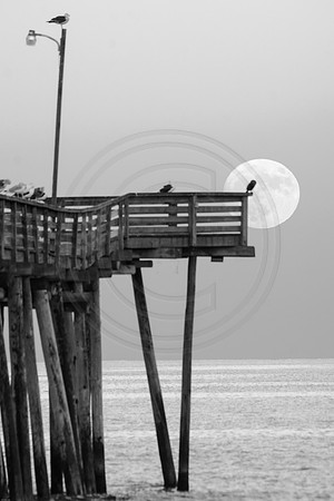 15th St. Pier Super Moon 2 2016