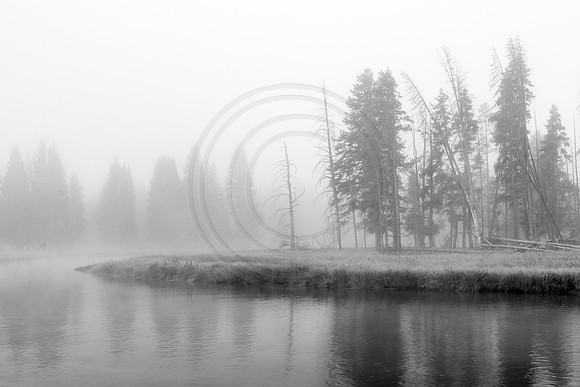 Gibbon Meadow Misty Morning 2017