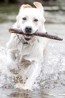 Max in Falling River