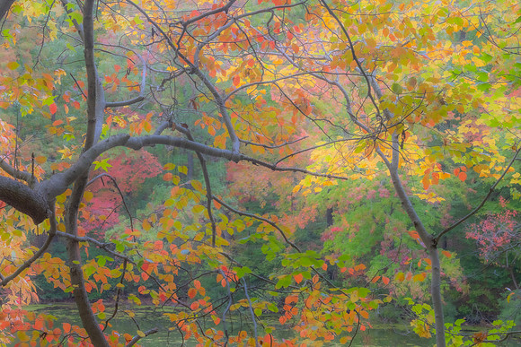 Maury Park Fall Pastel 2022