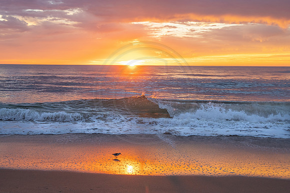 Wave Break at Sunrise