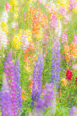 Pastel Towers